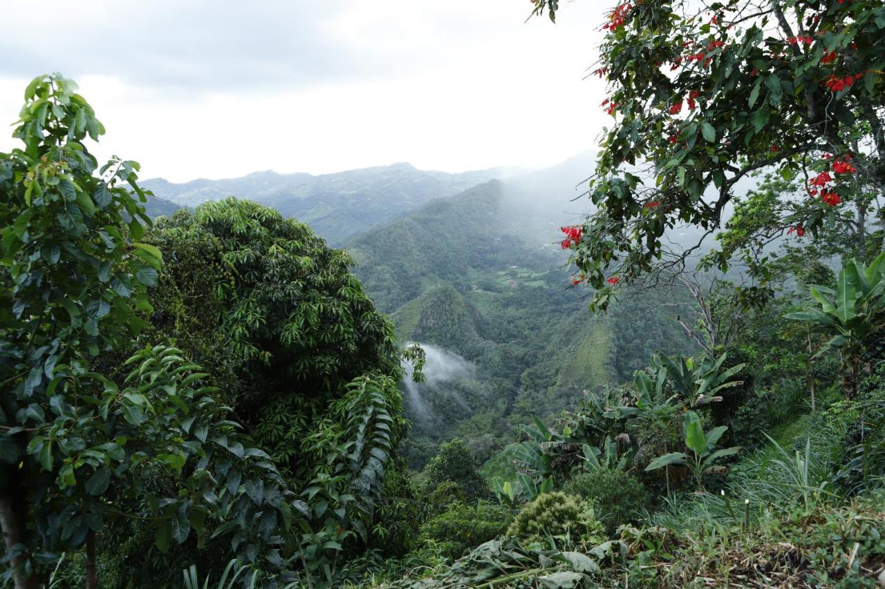 Ecohotel Monteverde La Vega  Exteriér fotografie