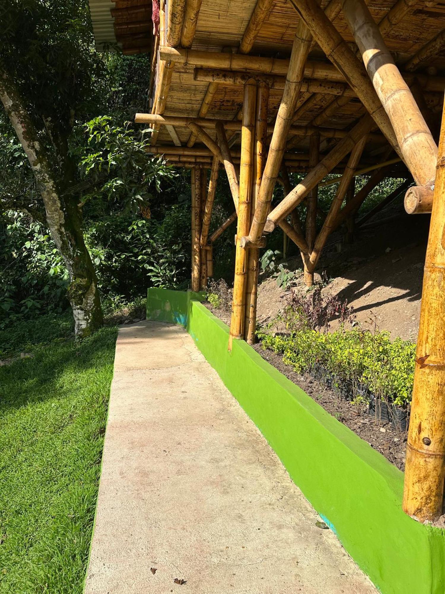 Ecohotel Monteverde La Vega  Exteriér fotografie