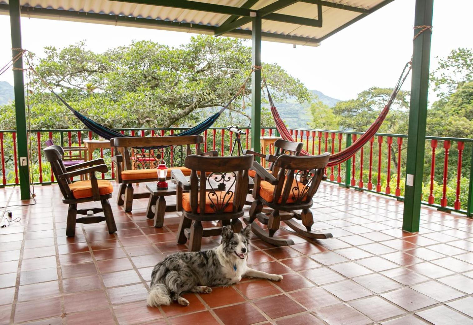 Ecohotel Monteverde La Vega  Exteriér fotografie
