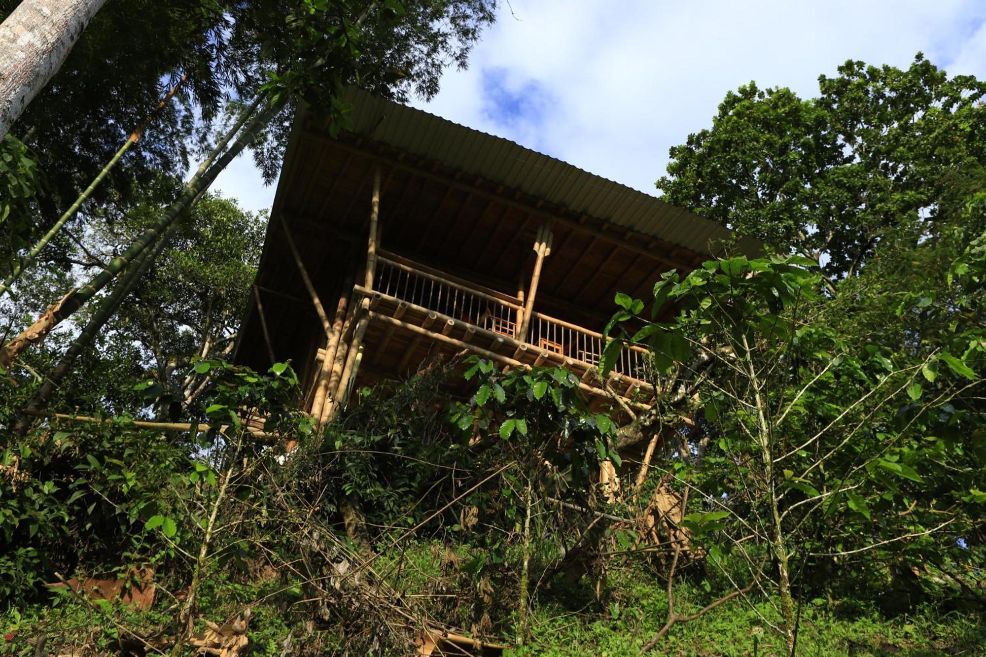Ecohotel Monteverde La Vega  Exteriér fotografie
